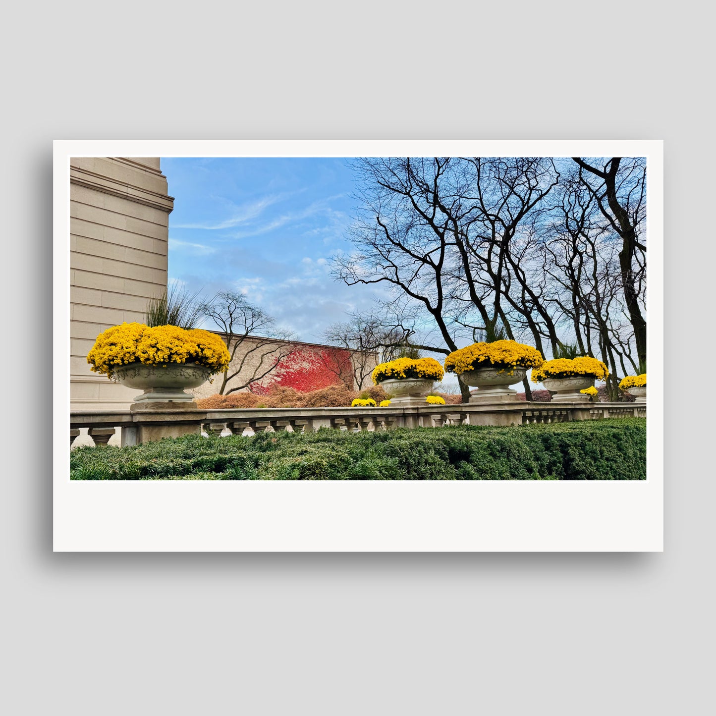 Special Friend Edition – 24 Postcards with USPS Love Stamps