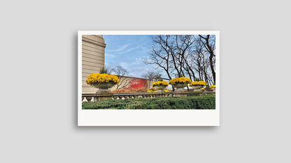 Special Friend Edition – 24 Postcards with USPS Love Stamps